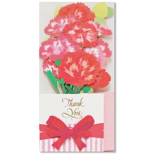 홀마크 카네이션 꽃 감사 입체카드-KTY3007